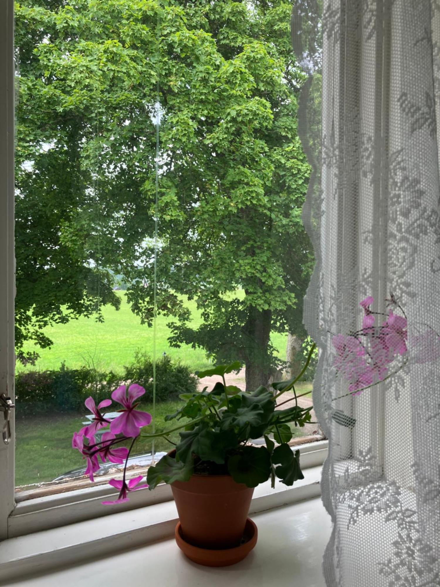 بيت شباب Karaby Gard, Country Living كريستِنهامن المظهر الخارجي الصورة
