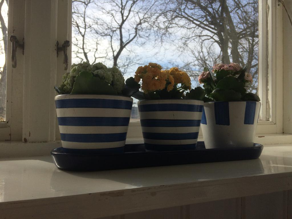 بيت شباب Karaby Gard, Country Living كريستِنهامن المظهر الخارجي الصورة